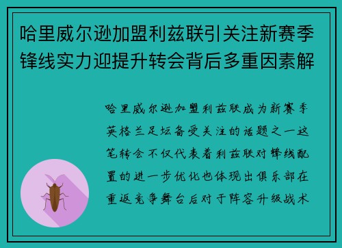 哈里威尔逊加盟利兹联引关注新赛季锋线实力迎提升转会背后多重因素解析